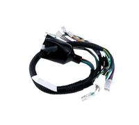 Faisceau Moteur Diesel Câblage de Faisceau de câbles électrique Complet pour DIO 50 AF17 AF18 AF25 AF27 AF28 ZX AF34 Faisceau Moteur rangé(AF17 18 Front Cable)