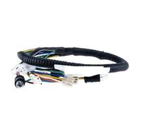 Faisceau Moteur Diesel Câblage de Faisceau de câbles électrique Complet pour DIO 50 AF17 AF18 AF25 AF27 AF28 ZX AF34 Faisceau Moteur rangé(AF34 Front Cable)