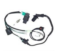 Faisceau Moteur Diesel pour 50cc-160cc Faisceau de câblage Interrupteur d'arrêt Bobine d'allumage CDI Coup de Pied Pit Dirt Bike Faisceau Moteur rangé