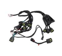 Faisceau Moteur Diesel pour Surron Light Bee X/S Pièces Ligne détection défaut Faisceau câbles Connexion Cordon d'alimentation Principal Motocross Kit Faisceau de câbles Complet