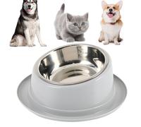 Faisseur de compagnie élevé - 22x8,5 cm Bol de chats en acier inoxydable incliné | Dish anti-déversement Disc détachable Base de non- pour l'alimentation confortable des chiots de chatons intér