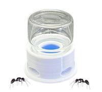 Faisseur Fourmis Transparente, Station d'eau D'insectes, Plat d'eau Transparent, Nettoyage Pratique, Artisanat Fin, 3,8 Cm, pour Les Abeilles Étude De La Classe