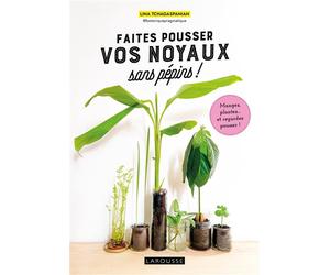 Faites pousser vos noyaux sans pépins ! Mangez, plantez... et regardez pousser ! - Lina Tchagaspanian - Larousse - broché - Guide