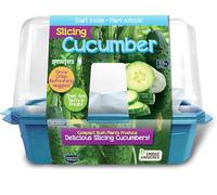 Faites pousser vos propres plantes de concombre - légumes sains, frais et savoureux - Comprend tout le nécessaire pour produire ce légume rafraîchissant