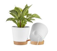 FaithLand Lot de 2 Pots de Fleurs de 20,3 cm pour Plantes d'intérieur et d'extérieur, Pots de Fleurs à arrosage Automatique avec réservoir Profond, Blanc avec Terre Cuite