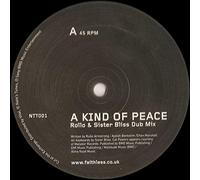 Faithless Ft Cat Power - A Kind of Peace [Vinilo]