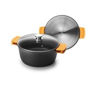 Faitout Avec Couvercle Evolution 28 Cm