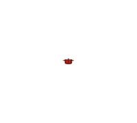 OGO Faitout Ogoliving 24 cm Paprika ector G