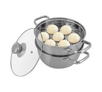 Faitout vapeur en acier inoxydable à 2 niveaux pour différents types de cuisinières, 20 cm, 1,2 l, argenté