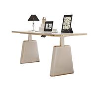 FAJNUZI2024 Bureau de Jeu Bureau Debout électrique, 4 hauteurs réglables, Bureau à Domicile, Table Moderne en Ardoise(S)