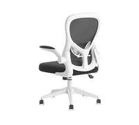 FAJNUZI2024 Chaise de Bureau Chaise d'ordinateur Simple for la Maison, Bureau d'étude, Dossier Confortable, Fauteuil Ergonomique, élévateur de Bureau Fauteuil de Bureau(Grigio)