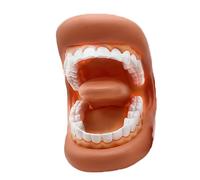 Fake Mouth - Modèle dentaire portable doux avec bouche souple pour un