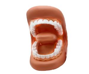 Fake Mouth - Modèle dentaire portable doux avec bouche souple pour un
