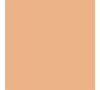 Falcon Eyes Superior papier de fond 26 Pongee 1,35 x 11m beige clair professionnel