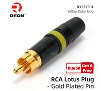 Falconry, The Sport Of Kings