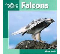 Falcons, Our Wild World Series Wayne Lynch (Auteur)