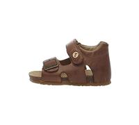 Falcotto Sandales BEA en cuir, boucle et fermeture scratch, Marron 25