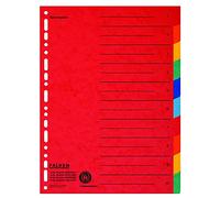 Falken 20x intercalaires en carton extra-larges pour A4+ 24,5 x 30 cm avec impression organisationnelle 10 pièces en couleur 2 x 5 couleurs pour le rangement de pochettes transparentes