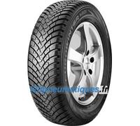 Falken EUROWINTER HS01 ( 225/40 R19 93V XL, avec protège-jante (MFS) BLK )