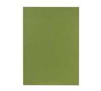 Falken Chemises A4 Réf. 80001167002F Carte recyclée Carton de 100 Vert