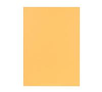 Falken - Réf. 80001233002F - Carton de 100 chemises carte recy A4 - Chamois