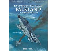 Falkland: La Guerre des Malouines