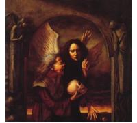 Fall from Grace [Import]
