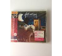 Fall Out Boy - Infinity on High