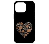 Fall Pumpkin Fall Leaves Acorns Hearts Rustic Fall Autumn Coque pour iPhone 16 Pro