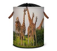 Fall Rothschild Grand panier à linge pliable en forme de girafe avec couvercle à cordon de serrage pour chambre à coucher, salle de bain