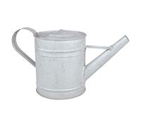 Esschert Design Arrosoir Fallen Fruits – Zinc vieilli – 0,75 L