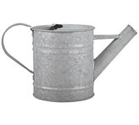 Fallen Fruits 0,75 L Arrosoir Zinc Vieilli