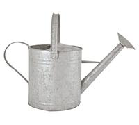 Fallen Fruits 3,5 L Arrosoir Zinc Vieilli