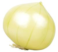 Fallen Fruits AH023 Oignon Artificiel Orange