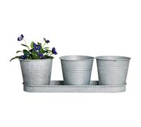 Fallen Fruits OZ22 Vieux Zinc 3 Pots sur Plateau Gris