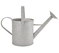 Fallen Fruits OZ46 Ancien Arrosoir en Zinc Gris 5 l