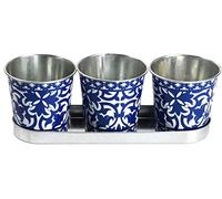 Fallen Fruits Pots décoratifs sur Plateau, idéal pour Les Herbes, métal, Bleu et Blanc, Taille Unique