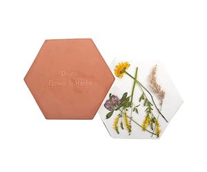 Fallen Fruits Presse à fleurs et herbes | Presse hexagonale lourde en terre cuite au micro-ondes