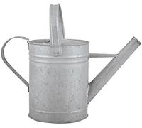 Fallen Fruits Vieux Zinc Arrosoir 1,5 L