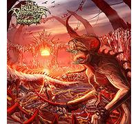 Fallen Prophets - No End In Sight