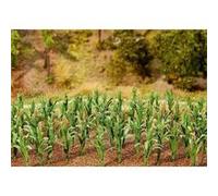 Faller 1/87 Ho : 36 Plants De Maïs