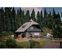 Faller 130010 - Modèle Anniversaire de la Maison de la Forêt-Noire avec Figurine - Largeur de Voie H0