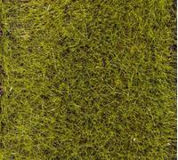 Faller 170772 - Flocage Fibres prairie, 30 g, 6 mm