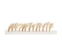 Faller Plantes de roseaux 181287 – 22 plantes