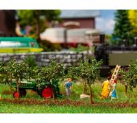 FALLER 181359 Dix Pommiers (Hauteur 45 Mm)