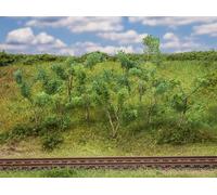 FALLER 181409 Arbres/Bushes Sauvages (Hauteur 75 Mm - 90 Mm)