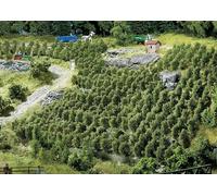 FALLER 181490 Vignoble Avec Structures De Soutien (Pz. 36 - Hauteur 30 Mm)