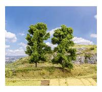 Faller 181572 Assortiment d'arbres hêtre 180 mm 2 pc(s)