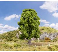 Faller 181573 Arbre chêne 180 mm 1 pc(s)