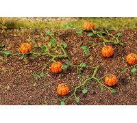 Pumpkins 6 Pieces - Faller F181258-Faller